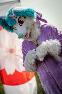 Hanami 2019 - 190519153136.jpg