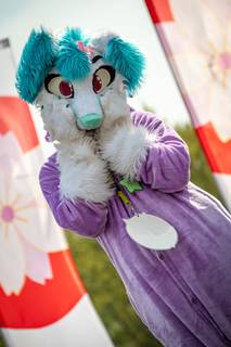 Hanami 2019 - 190519153141.jpg