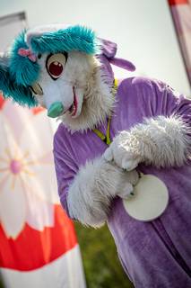 Hanami 2019 - 190519153144.jpg