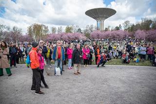 Hanami 2022 - 220515121322.jpg