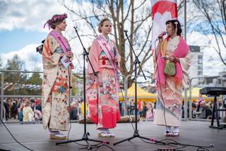 Hanami 2022 - 220515123904.jpg