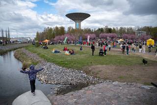 Hanami 2022 - 220515135723.jpg