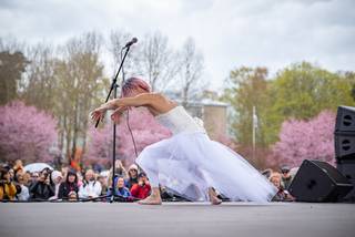 Hanami 2022 - 220515141506.jpg