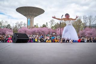 Hanami 2022 - 220515141654.jpg