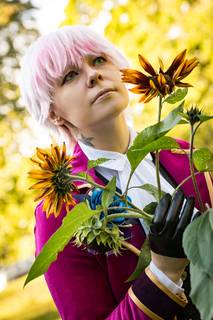 Pauligin Huvila 2018 - 180929111604.jpg