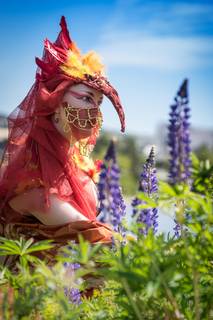 Phoenix Photoshoot 2018 - 180609132503.jpg