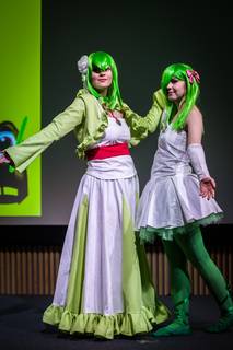 Popcult Helsinki 2017 - 070517131428.jpg