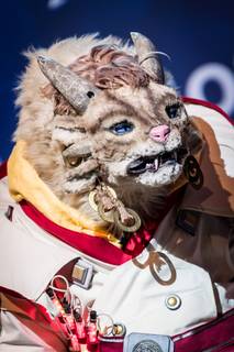 Ropecon 2017 - 290717143246.jpg