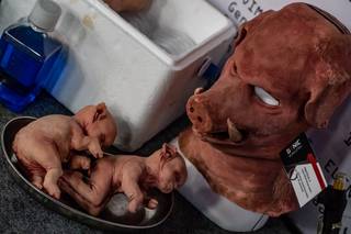 Ropecon 2019 - 190726153149.jpg