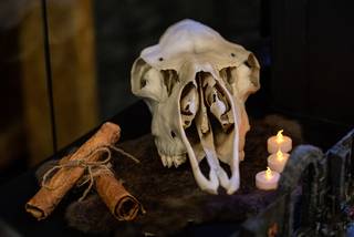 Ropecon 2022 - 220729182859.jpg