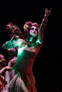 Ropecon 2023 - 230729172529.jpg