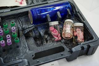 Ropecon 2023 - 230730133424.jpg