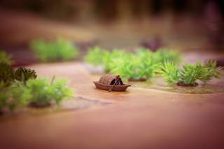 Ropecon 2024 - 240719164850.jpg