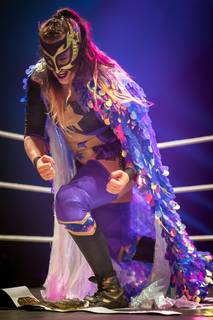 Ropecon Wrestling Show 2024 - 240719190842.jpg