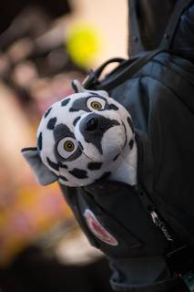 Shippocon 2016 - 160924102954.jpg