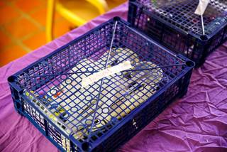 Shumicon 2023 - 231020122252.jpg