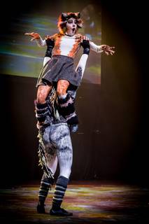 Tracon 2017 - 090917165248.jpg