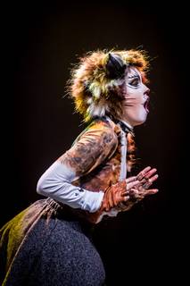 Tracon 2017 - 090917165311-2.jpg