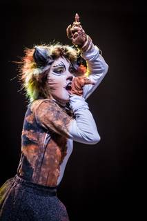 Tracon 2017 - 090917165311.jpg