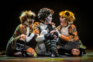 Tracon 2017 - 090917165329.jpg