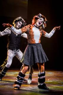 Tracon 2017 - 090917165343.jpg