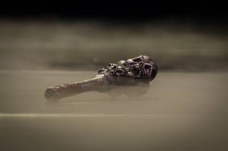 Tracon 2018 - 180908093838.jpg