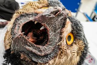 Tracon 2019 - 190908065613.jpg