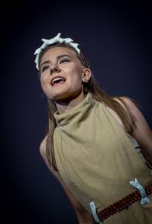 Valitsen Sinut 2016 Ropecon - 160731121401.jpg