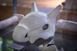 Valitsen Sinut 2016 - 160815162124.jpg