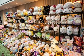 Yukicon 2019 - 190309092932.jpg