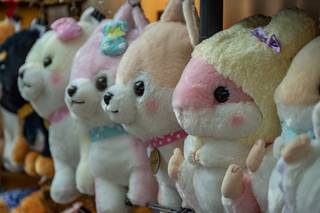 Yukicon 2019 - 190309093113.jpg