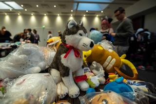 Yukicon 2019 - 190309101706.jpg