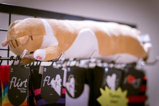 Yureicon 2024 - 241027152621.jpg