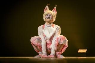 Desucon 2025 - 250613174234.jpg