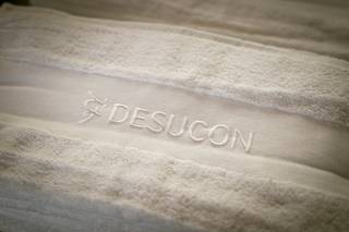 Desucon 2025 - 250614105643.jpg