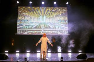 Desucon 2025 - 250614140303.jpg