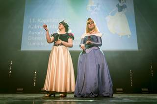 Desucon 2025 - 250614181233.jpg