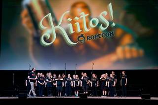 Ropecon 2025 - 250802133038.jpg